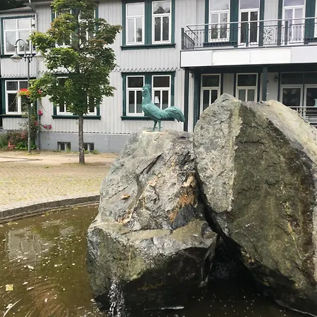 Seeblick Hahnenklee Apartment