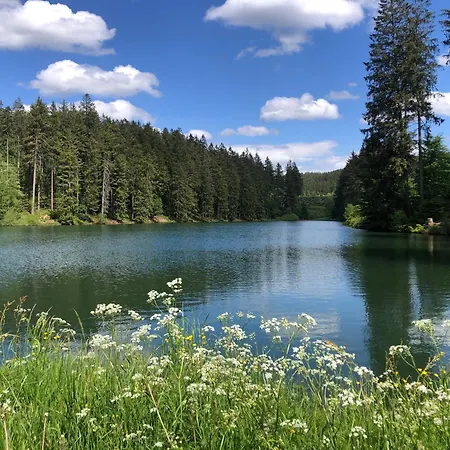 Seeblick Hahnenklee Apartment *