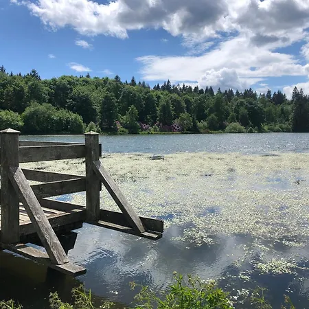 Apartment Seeblick Hahnenklee *