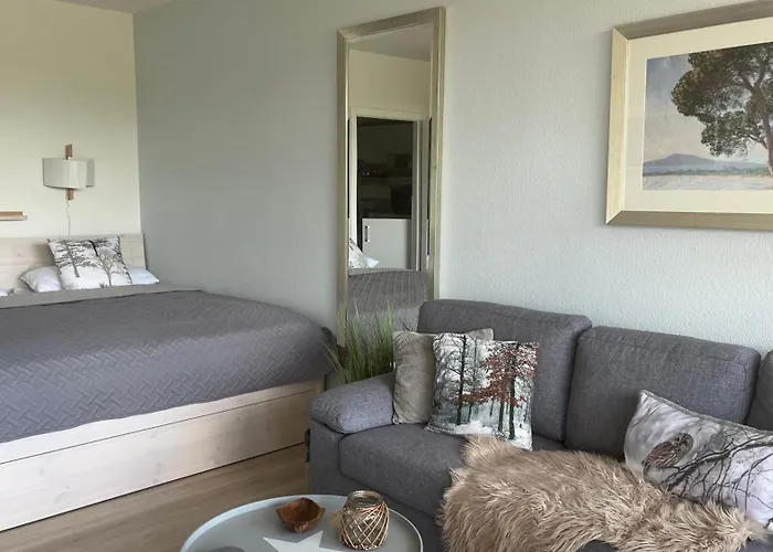 Seeblick Hahnenklee Daire *