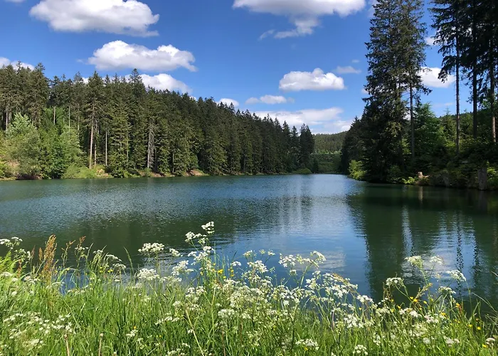 Seeblick Hahnenklee Daire *